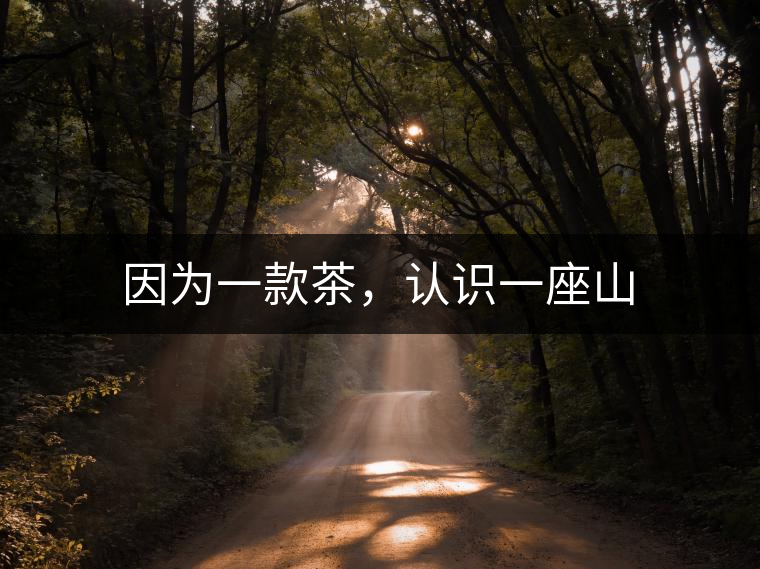 因?yàn)橐豢畈?，認(rèn)識(shí)一座山