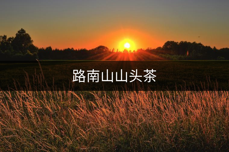 路南山山頭茶 路南山山頭茶