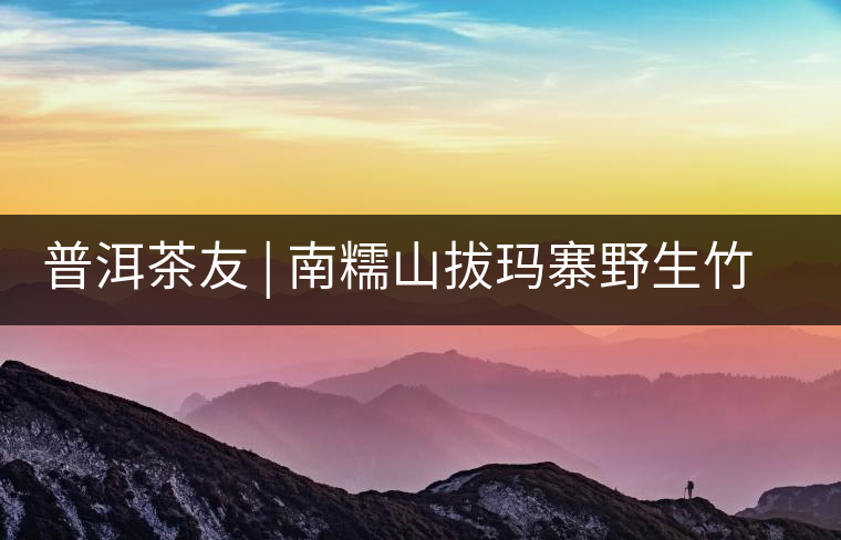 普洱茶友 | 南糯山拔瑪寨野生竹蓀給看過？