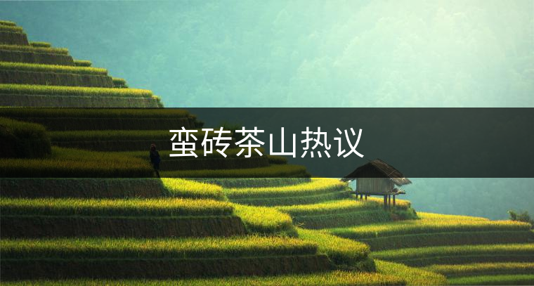 蠻磚茶山熱議