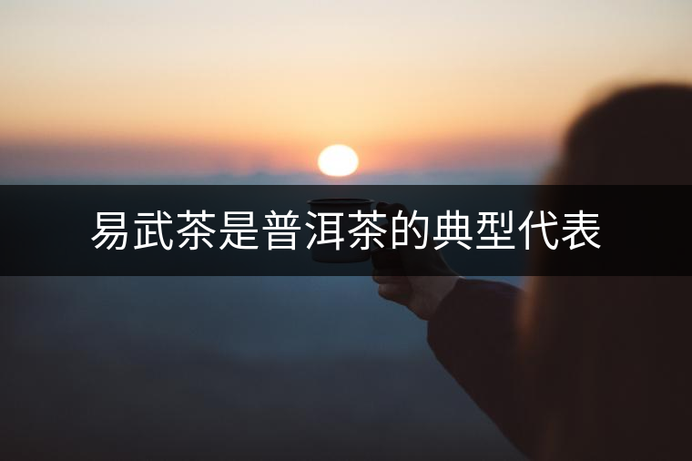 易武茶是普洱茶的典型代表