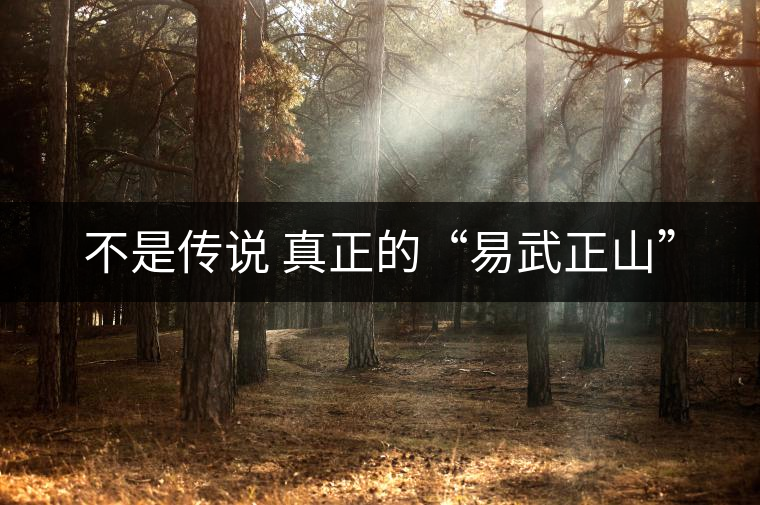 不是傳說(shuō) 真正的“易武正山” 不是傳說(shuō) 真正的“易武正山”