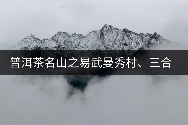 普洱茶名山之易武曼秀村、三合社村