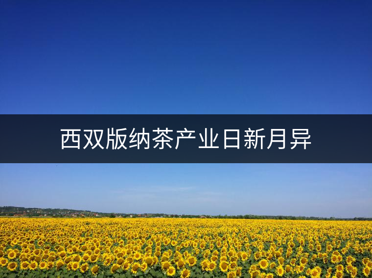 西雙版納茶產(chǎn)業(yè)日新月異