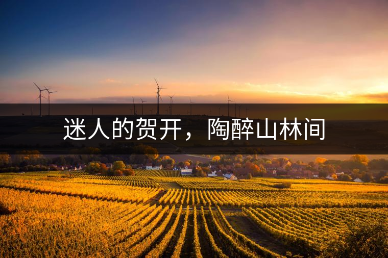 迷人的賀開，陶醉山林間