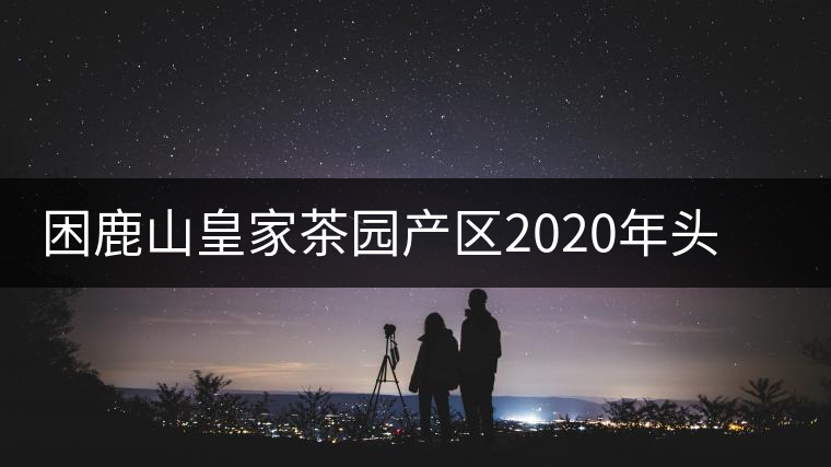 困鹿山皇家茶園產(chǎn)區(qū)2020年頭春古樹，白花林口感特點