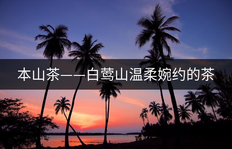 本山茶——白鶯山溫柔婉約的茶