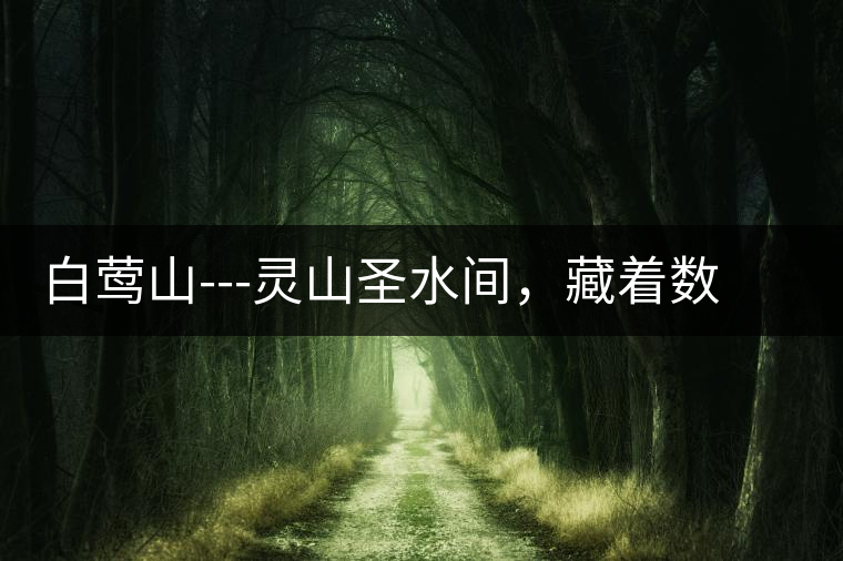 白鶯山---靈山圣水間，藏著數(shù)不盡的佛茶佳話
