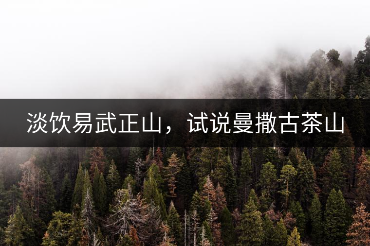 淡飲易武正山，試說曼撒古茶山