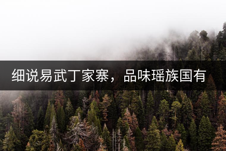 細說易武丁家寨，品味瑤族國有林古樹普洱茶