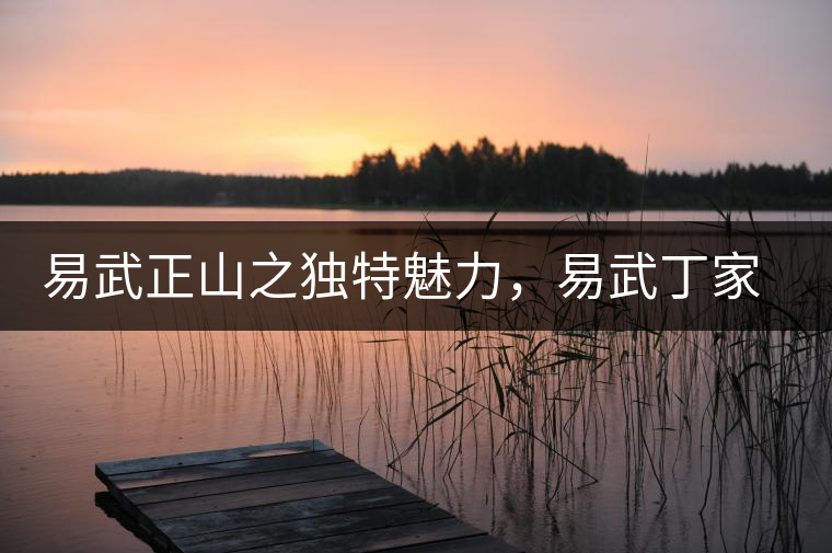易武正山之獨特魅力，易武丁家寨介紹品鑒