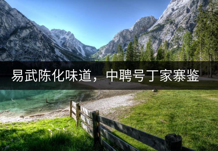 易武陳化味道，中聘號(hào)丁家寨鑒賞
