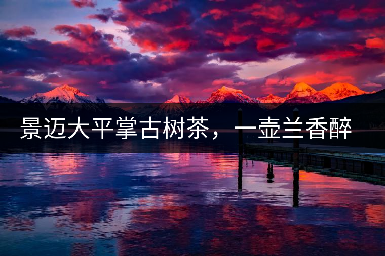 景邁大平掌古樹茶，一壺蘭香醉春秋