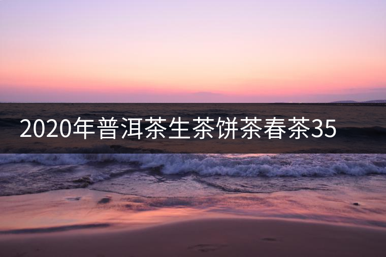 2020年普洱茶生茶餅茶春茶357克喬木弘聞春醒香柔甜買(mǎi)一送四包郵