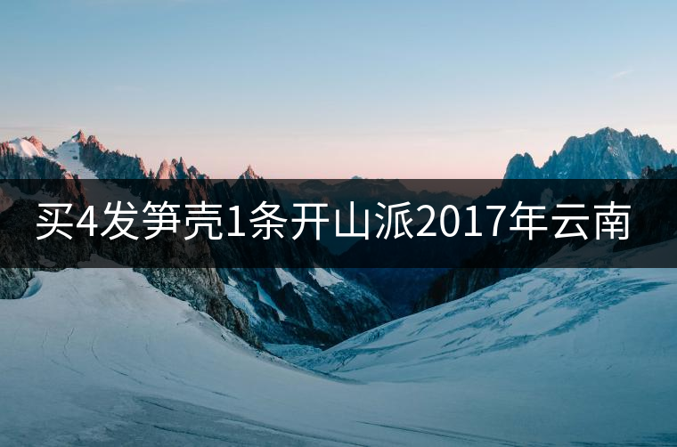 買4發(fā)筍殼1條開山派2017年云南勐海熟沱緊壓 普洱茶熟茶沱100g 買4發(fā)筍殼1條開山派2017年云南勐海熟沱緊壓 普洱茶熟茶沱100g