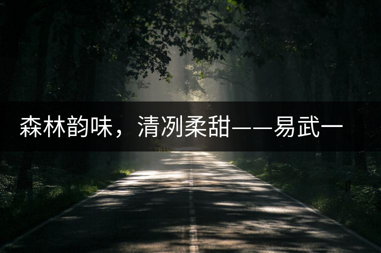 森林韻味，清冽柔甜——易武一扇磨古樹茶特點