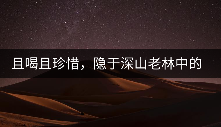 且喝且珍惜，隱于深山老林中的天門山高桿古樹茶