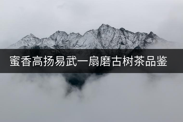蜜香高揚(yáng)易武一扇磨古樹(shù)茶品鑒開(kāi)湯