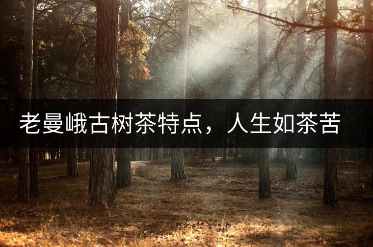 老曼峨古樹茶特點，人生如茶苦盡甘來