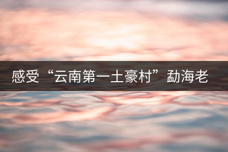 感受“云南第一土豪村”勐海老班章