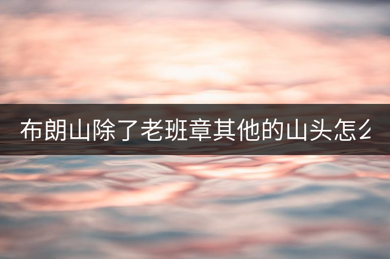 布朗山除了老班章其他的山頭怎么樣？