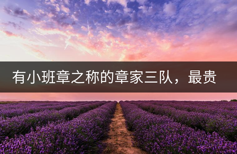 有小班章之稱的章家三隊(duì)，最貴的小樹茶