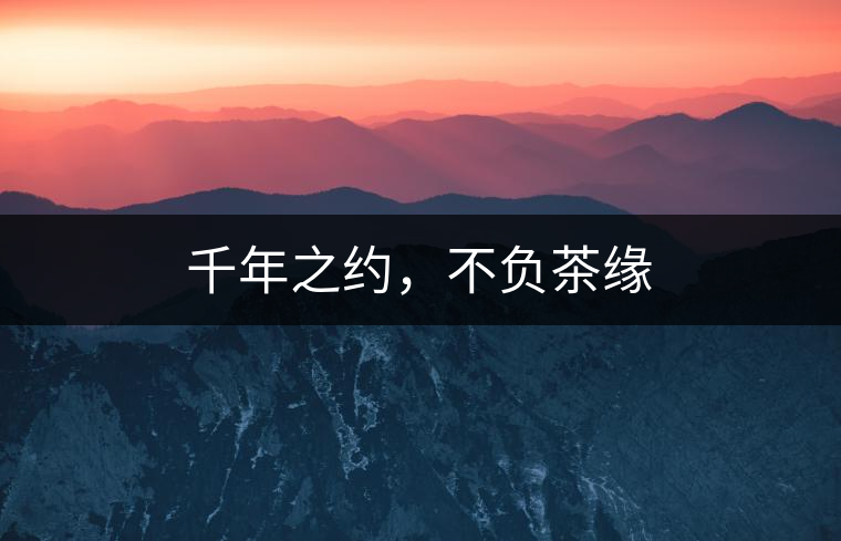 千年之約，不負茶緣