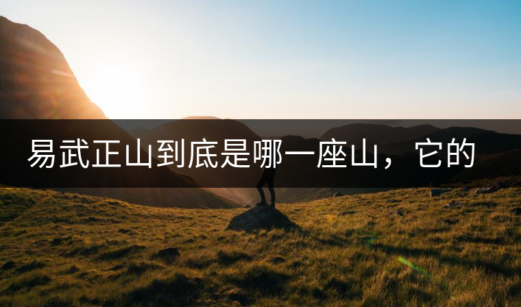 易武正山到底是哪一座山，它的含義你了解嗎？