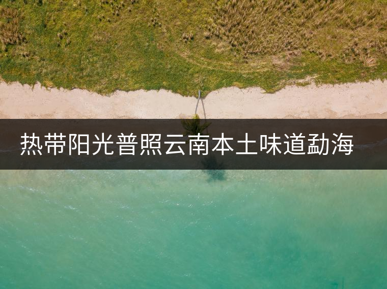 熱帶陽光普照云南本土味道勐海南糯山曬紅古樹茶