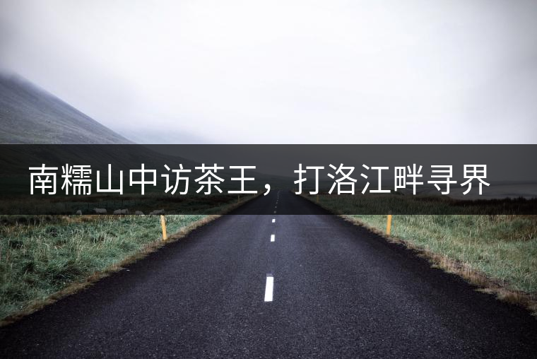 南糯山中訪茶王，打洛江畔尋界碑