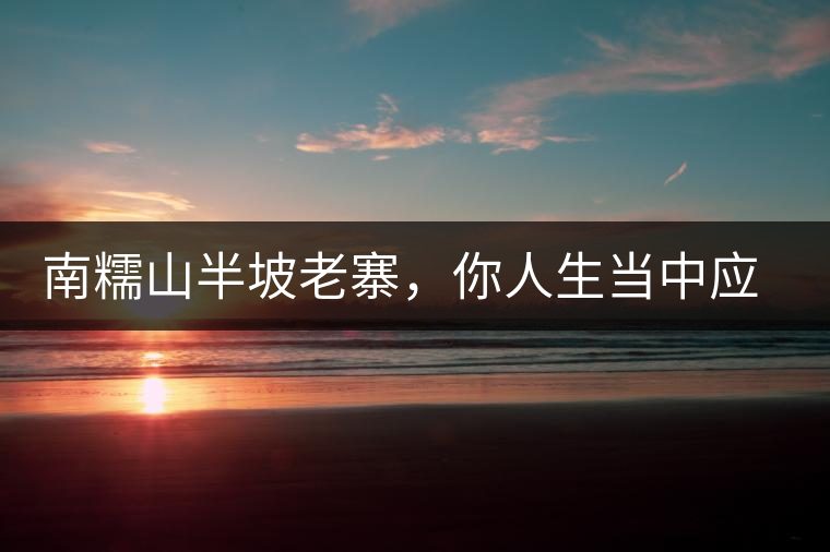 南糯山半坡老寨，你人生當(dāng)中應(yīng)該入手的第一片勐海味古樹純料普洱茶