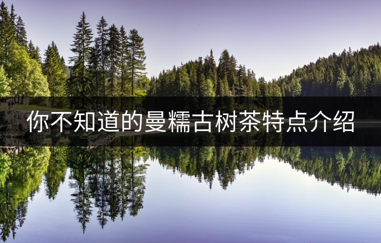你不知道的曼糯古樹(shù)茶特點(diǎn)介紹