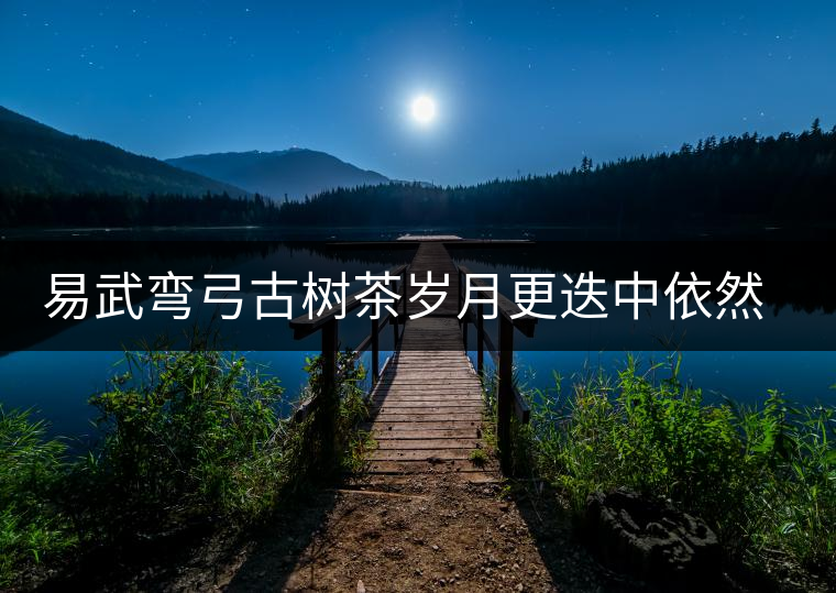 易武彎弓古樹(shù)茶歲月更迭中依然燦爛的夜明珠