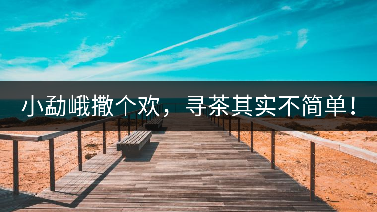 小勐峨撒個(gè)歡，尋茶其實(shí)不簡單！