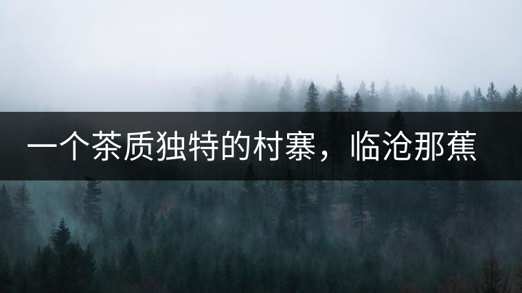 一個(gè)茶質(zhì)獨(dú)特的村寨，臨滄那蕉古樹(shù)茶介紹
