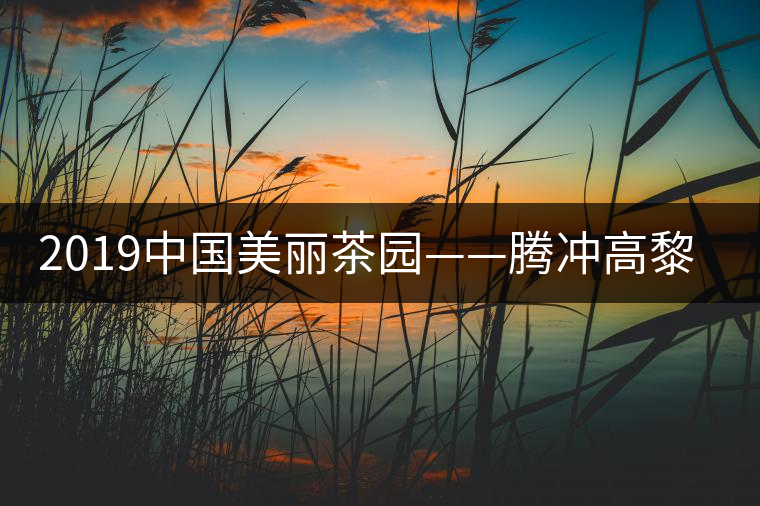 2019中國(guó)美麗茶園——騰沖高黎貢山茶