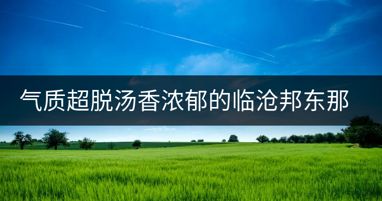 氣質(zhì)超脫湯香濃郁的臨滄邦東那罕古樹茶開湯品鑒
