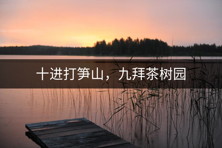 十進(jìn)打筍山，九拜茶樹園