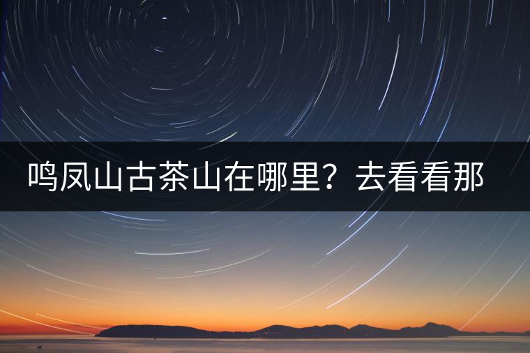 鳴鳳山古茶山在哪里？去看看那鳳凰曾經(jīng)落腳的地方