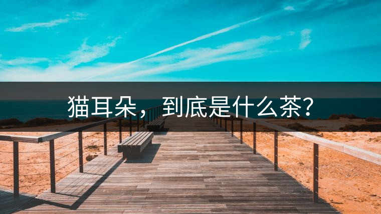 貓耳朵，到底是什么茶？