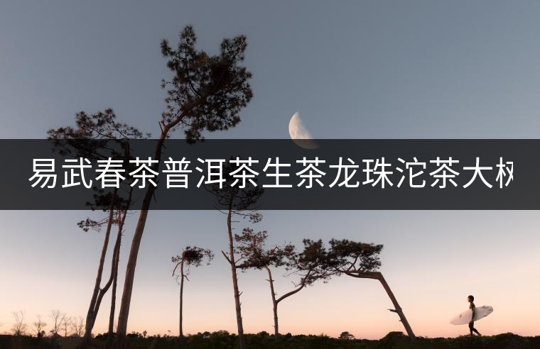 易武春茶普洱茶生茶龍珠沱茶大樹茶500克/份盒裝刮油小粒8克/顆