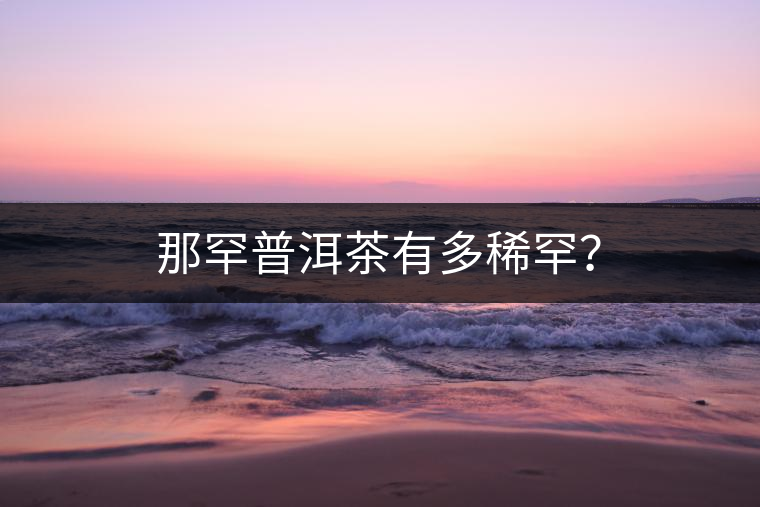 那罕普洱茶有多稀罕？