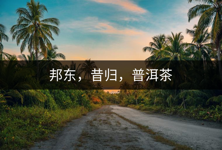 邦東，昔歸，普洱茶