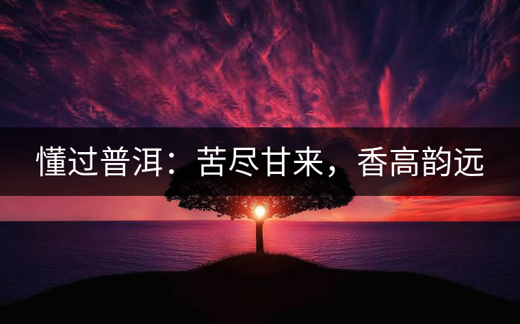懂過普洱：苦盡甘來，香高韻遠