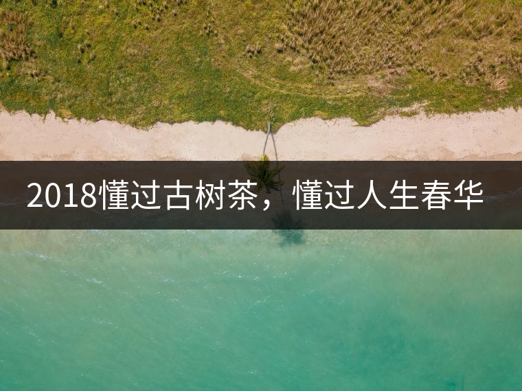 2018懂過古樹茶，懂過人生春華秋實！