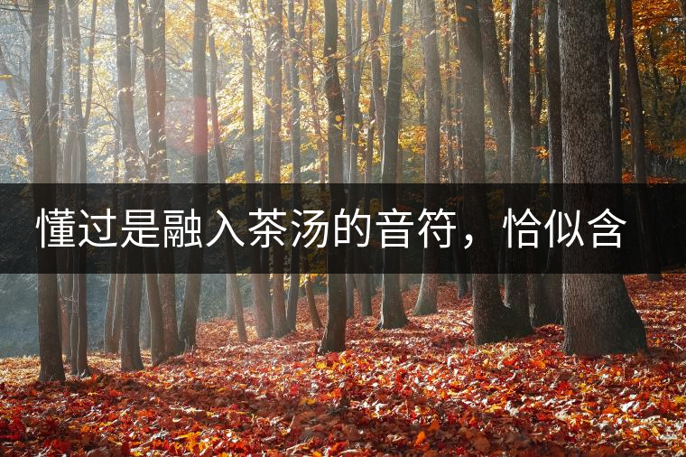 懂過是融入茶湯的音符，恰似含淚吟唱的《領(lǐng)悟》
