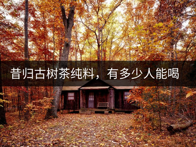 昔歸古樹(shù)茶純料，有多少人能喝到真品