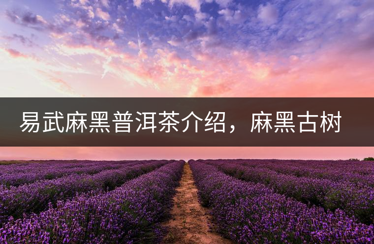 易武麻黑普洱茶介紹，麻黑古樹茶口感特點(diǎn)