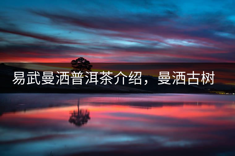 易武曼灑普洱茶介紹，曼灑古樹(shù)茶口感特點(diǎn)