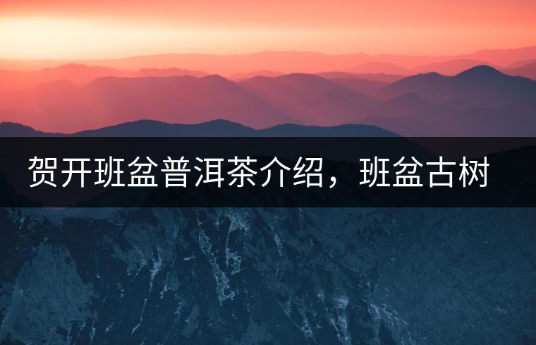 賀開班盆普洱茶介紹，班盆古樹茶口感特點(diǎn)